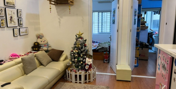 Gia đình cần tiền bán CH 53m 2PN giá siêu rẻ 1.75 tỷ bao phí sang tên tòa N04 Tr