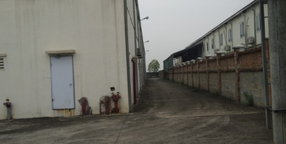 NHƯỢNG QSD ĐẤT VÀ XƯỞNG TẠI PHỐ NỐI A – HƯNG YÊN