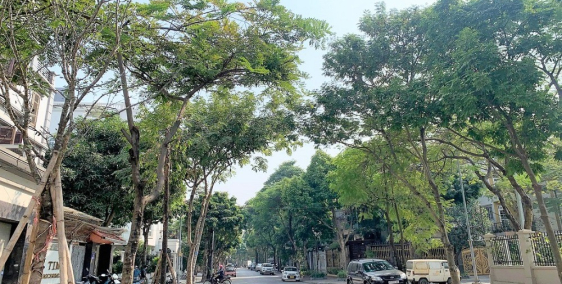 Bán nhà phố Trần Kim Xuyến. Vỉa hè, ô tô, KD, Công viên. 56m2 MT5.2m 5T 16tỷ