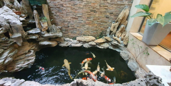 Đẹp hơn biệt thự - Vương Thừa Vũ, thiết kế đẳng cấp 106mx6tầng, mt 6.2m. 17.9 tỷ