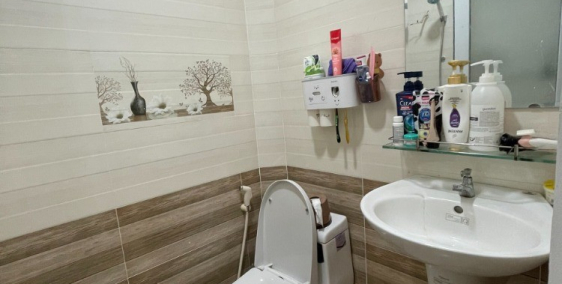 Bán GẤP nhà Lý Thường Kiệt, P4, Gò Vấp, 4x11m, 1 trệt, 1 lầu, 4.8 tỷ