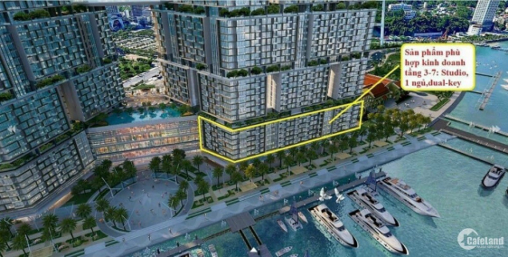 Sun marina tow Platinum tầng 34 -> 41