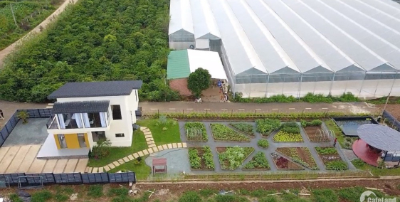 Bán đất nền biệt thự nghỉ dưỡng full thổ cư - Eden Hills Đà Lạt giá 4.5tr/m2