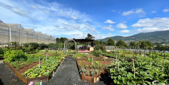 Biệt thự chân mây Eden Hills Đà Lạt - đã có sổ từng nền. Chiết khấu 10%