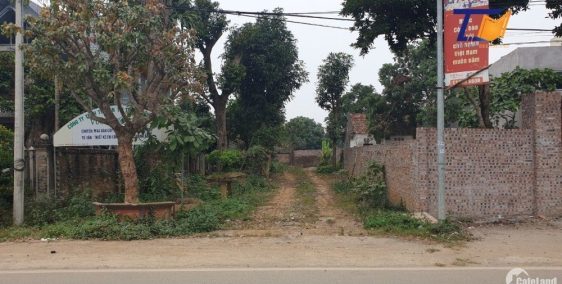 160m2 Trục Chính Hòa Thạch Quốc oai Giá siêu rẻ LH: A Tiến 0586.22.9999