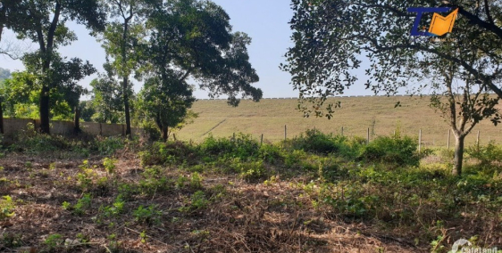 Tuyệt đẹp cần bán đất Sơn Đông Sơn Tây Giá siêu rẻ 3100m2 LH: A Tiến