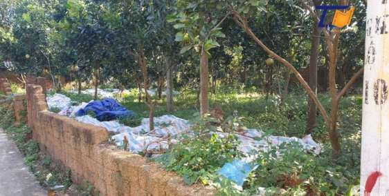 Bán đất 500m2 Cổ Đông Sơn Tây Giá nhích 2tr/1m2 LH: A Tiến