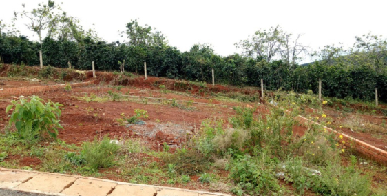 Đất Biệt Thự Măng Lin Đường thông xe tải, sổ hồng riêng thổ cư. Diện tích 200m