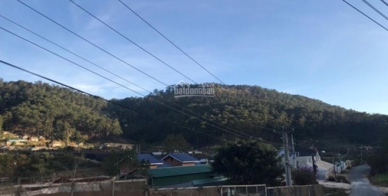 Đất đèo Pren Thành Phố Đà Lạt 2 tỷ 6.