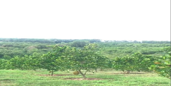 Cần bán lô đất rộng view Hồ Trị An đẹp tuyệt trần tại Là Ngà, Định Quán, Đồng Na