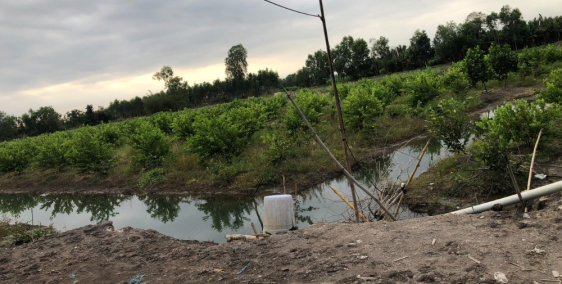 Gia đình cần sang lại miếng đất 5200m2, Sổ hồng chính chủ