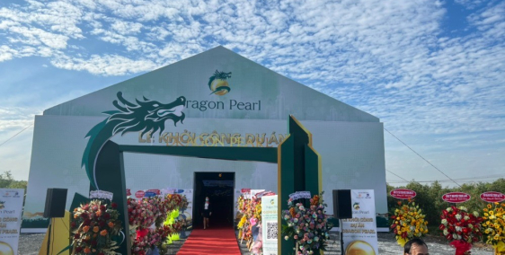 chỉ với 1tỷ260 triệu sở hữu ngay đất nền siêu dự án Dragon Pearl  .