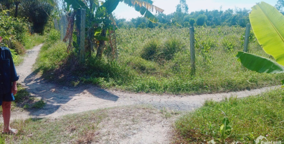 Đất làm nhà vườn đậm chất miền quê nghĩ dưỡng