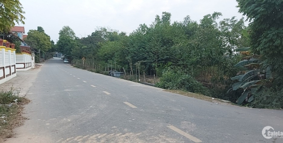 Bán đất Cầu Khai xã Hoàng Vân, Hiệp Hòa, Bắc Giang