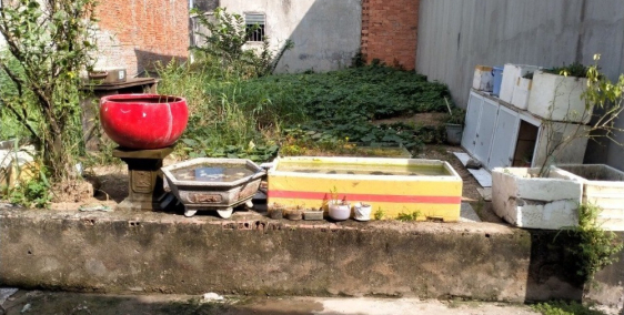 bán đất giá rẻ ngay mặt tiền đường Liên Ấp 2-6