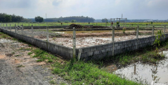 Bán gấp nhà vườn chính chủ sổ riêng, 1tr5/m2