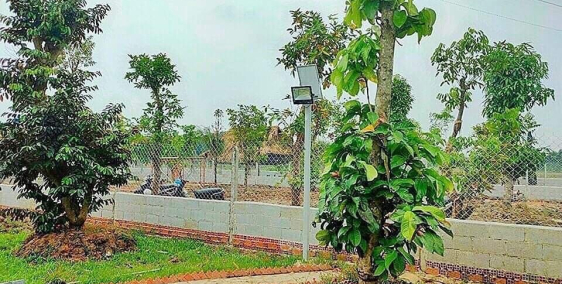 Đất vườn thị trấn Củ Chi 1009m2 , sổ hồng riêng