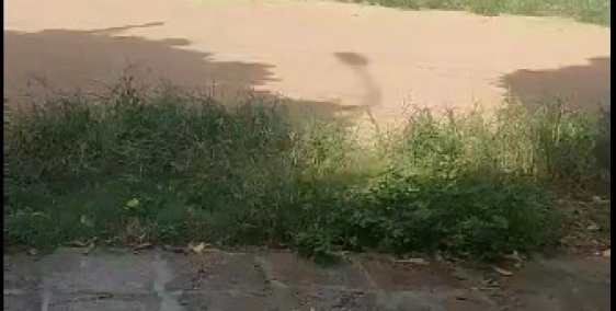 xả lỗ lô đất 97m2 tại Văn Cao Hữu bằng Kiến thụy giá 7xz