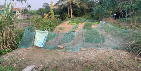 Bán lô đất 125m2 tại Sâm Linh Minh Tân Kiến Thụy giá hạt tiêu cực yêu