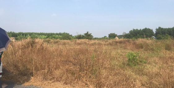 đất sào có thổ Phước Bình - Long Thành 2triệu/m2