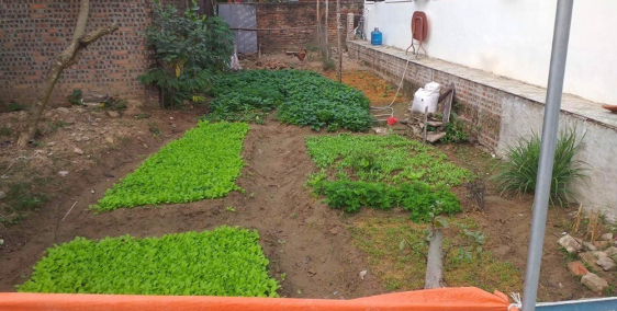 Chỉ 710 triệu 67.5m2 Đất Thanh Lâm -Mê Linh