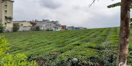 CHÍNH CHỦ BÁN MẢNH ĐẤT VIEW VƯỜN 634m2 có 250m TC Mộc Châu , Sơn La GÍA RẺ