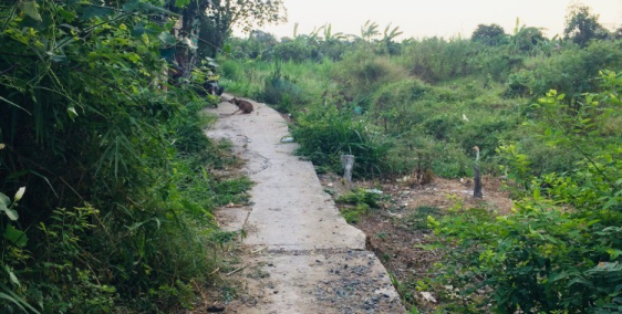 Đất nền 5x31m, có 100m2 thổ cư, cách nhựa 200m, Xã Mỹ Phong, TP.Mỹ Tho, Tiền Gia