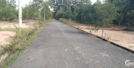 Tết gần đến chủ cần ra gấp lô đất ở xã phú đông huyện nhơn trạch