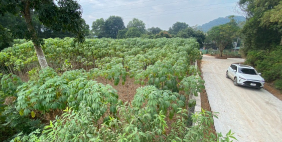 Siêu phẩm đầu tư nhân lãi vốn đất vuông có thể phân lô ngay