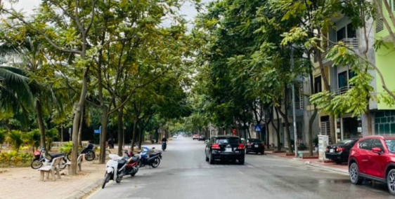 Bán đất mặt phố Hồng Châu, TP HD, 68.4m2, mt 4.5m, đường + hè 20.5m, View hồ, vị