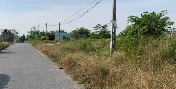 Bán đất 14000m2 Xuân Trường Nam Định