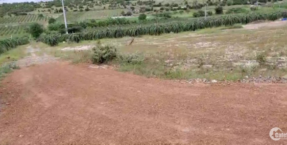 Bán 6996m2 đất hồng thái gần ngã 4 liên huyện liên xã chỉ 909tr Lh 0938677909