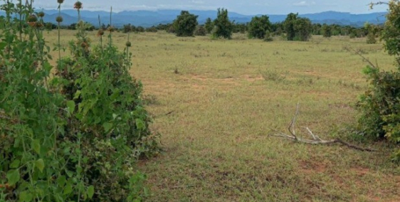 Bán 4169m2 đất nền bắc bình gần đường liên huyện chỉ 646tr Lh 0385230667 Hiền