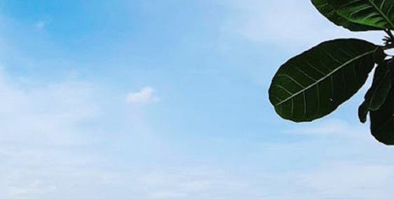 Bán đất biển hoà thắng quy hoạch ONT chỉ 1,2 tỷ gần biển hoà thắng Lh 0385230667