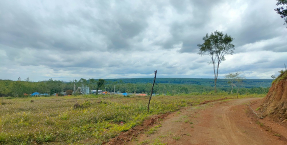 Bán gấp 1000m/2 Bình Phước 290tr