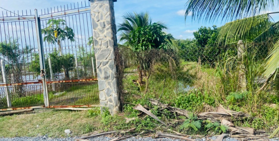 đất vườn Củ Chi 626m2 ngang 15 đường Ba Sa 1ty490