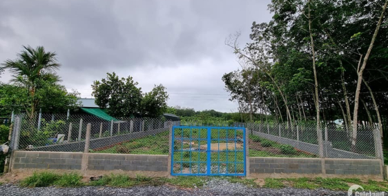 Đất Củ Chi Ấp Đồn, xã Trung Lập Hạ - 2 lô liền kề 1632m2 giá 2ty983 SHR đường 2