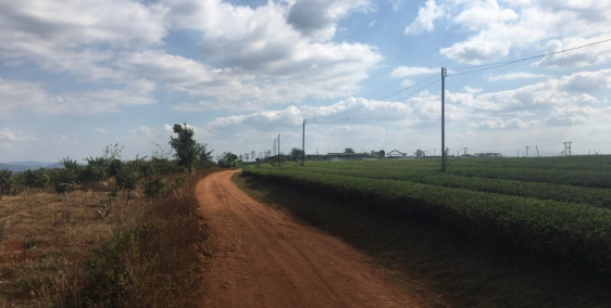 Cần bán đất Mê Linh-Lâm Hà-Lâm Đồng