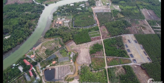 Dân địa phương gửi bán lô đất cây lâu năm đường nhà nước hiện hữu