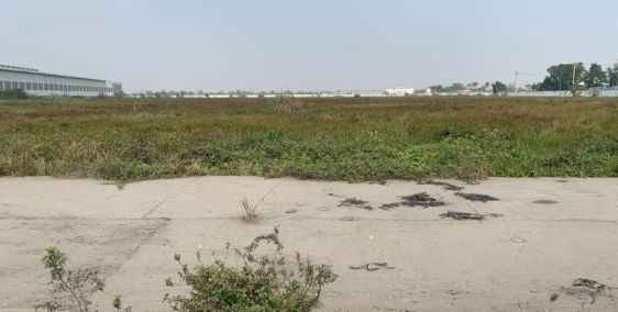 Bán 10ha kcn khánh Phú Ninh Bình