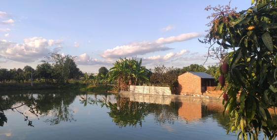 dat tho cu va nông nghiệp. Thổ cư 165m2