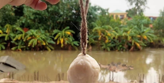 Nhà cấp 4 rộng rãi, thoáng mát, tương lai view hồ (có bờ kè)