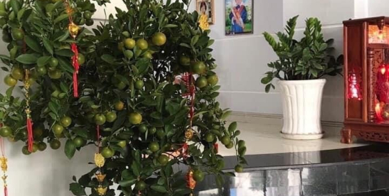 Bán nhà đẹp 5 sao Đường số 51 Phạm Văn Chiêu P14 GV 50m2 5.15 tỷ.