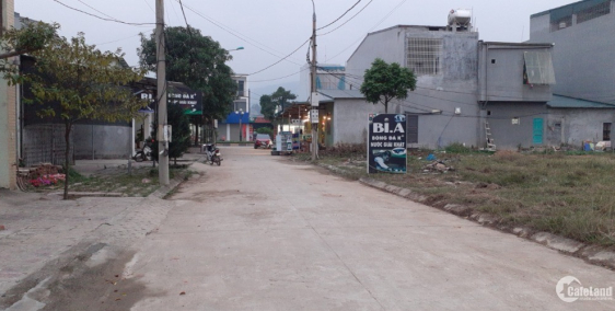 Chính chủ bán nhà đất Hợp Châu 5.5m- Tam Đảo - Hướng ĐN, mặt đường rộng