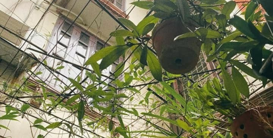 BIỆT THỰ MINI- 3 THOÁNG - GẦN HỒ BA MẪU!