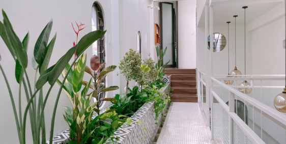 Bán nhà Quận 10, sống xanh giữa lòng thành phố