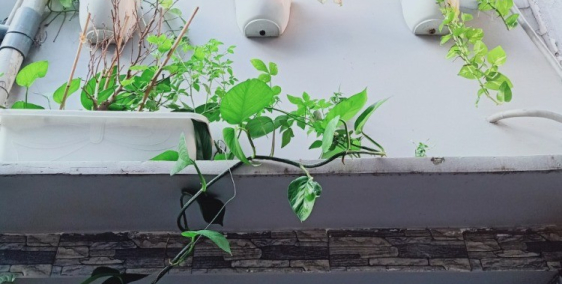 Bán nhà nhỏ quận 7 ,hẻm an ninh thoáng mát,gần chợ