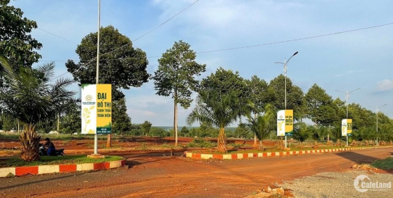 NHẬN BOOKING 10tr/nền SIÊU PHẨM FELICIA CITY BÌNH PHƯỚC