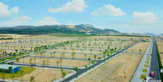 Siêu phẩm đất nền ven biển thành phố Quy Nhơn