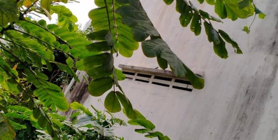 Bán đất thổ cư Nguyễn Thượng Hiền P5 BT 72m2 9.2 tỷ, cách mặt tiền 5m.